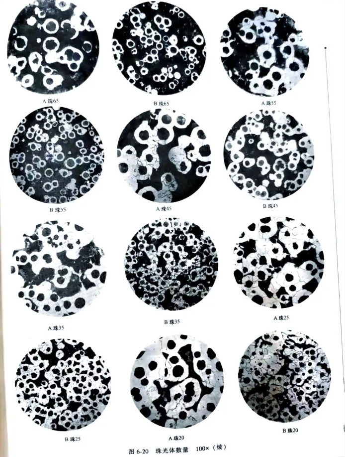 Der Einfluss der Graphitmorphologie in Gusseisen auf die Leistung